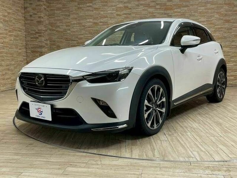 CX-3-13