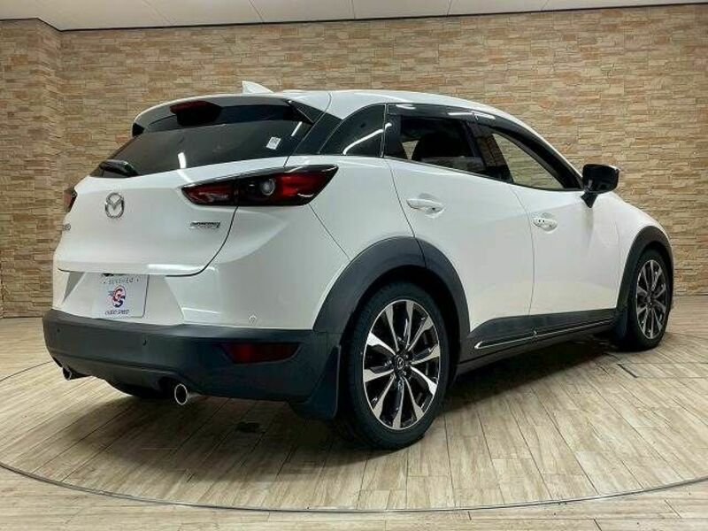 CX-3-15