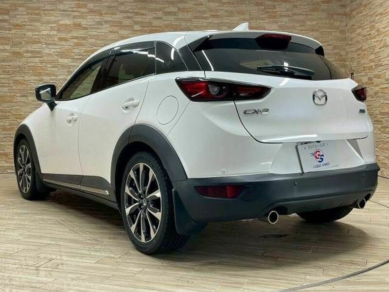 CX-3-16