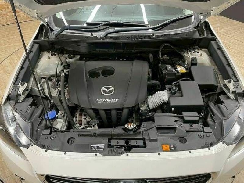 CX-3-17