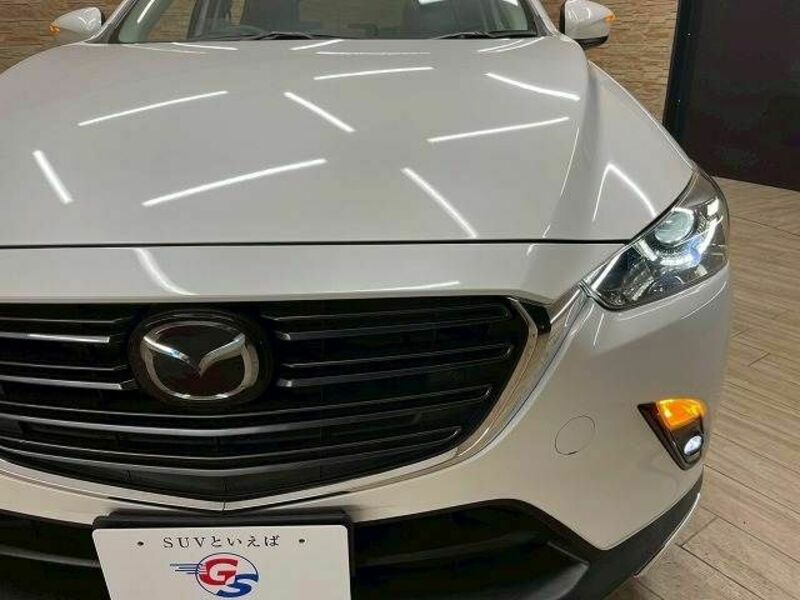 CX-3-19