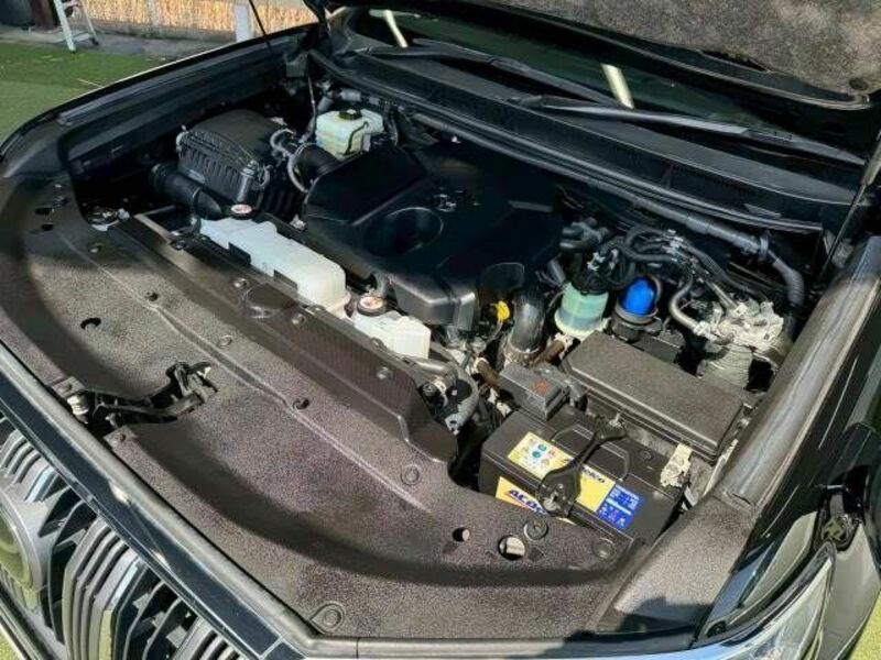LAND CRUISER PRADO-17