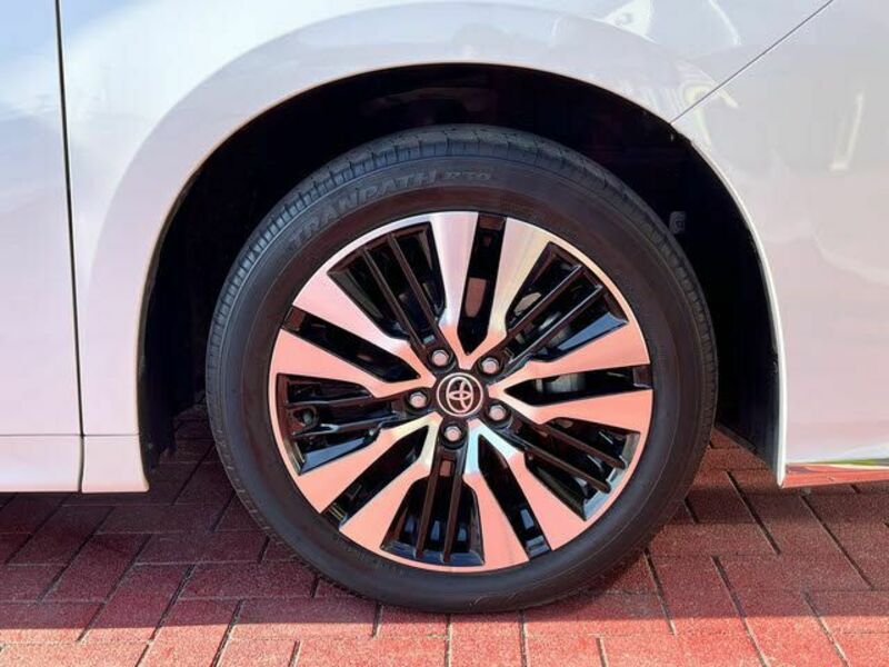 ALPHARD-26