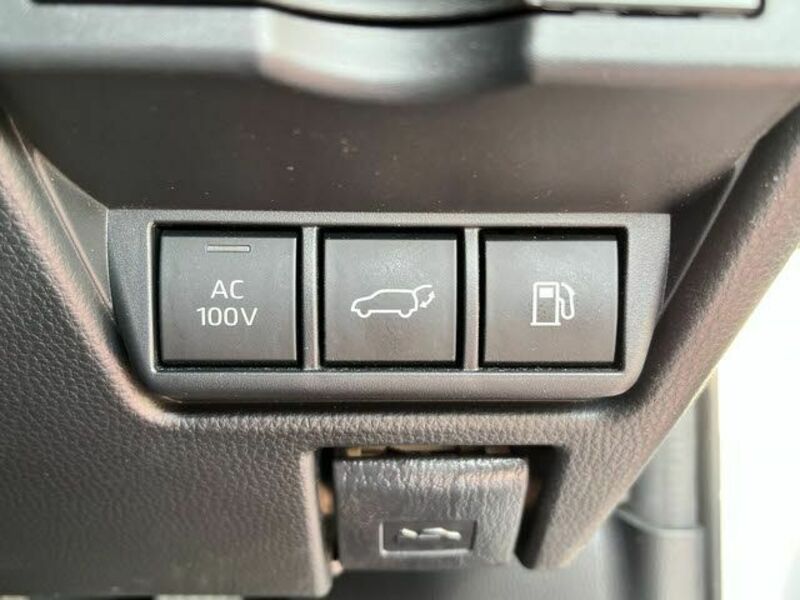 PRIUS-16