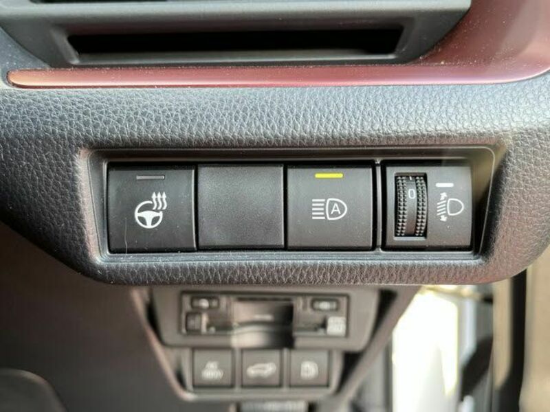 PRIUS-17