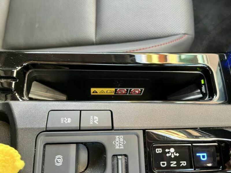 PRIUS-21