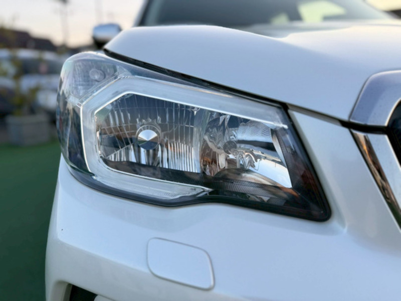 FORESTER-8