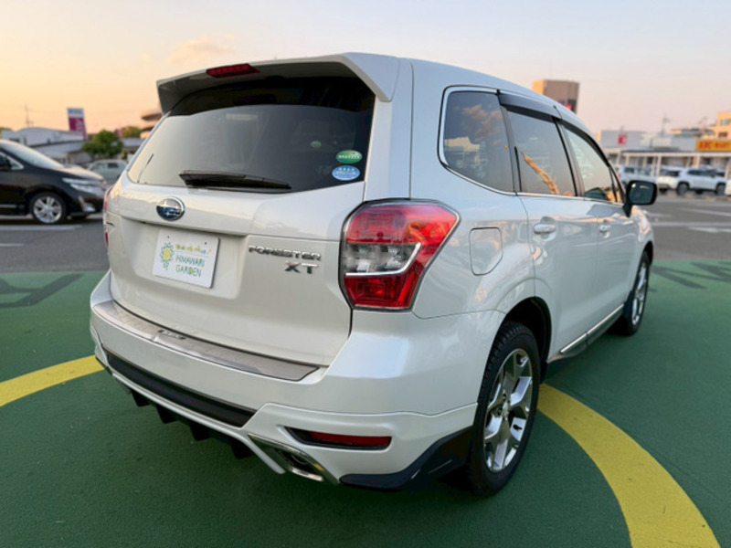 FORESTER-15