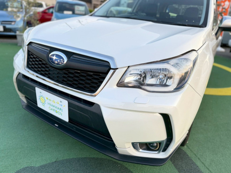 FORESTER-10