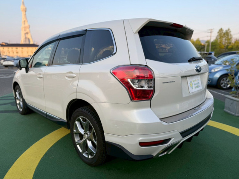 FORESTER-14