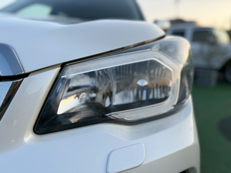 FORESTER-7