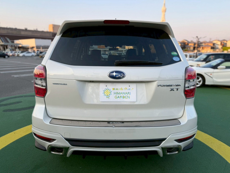 FORESTER-16