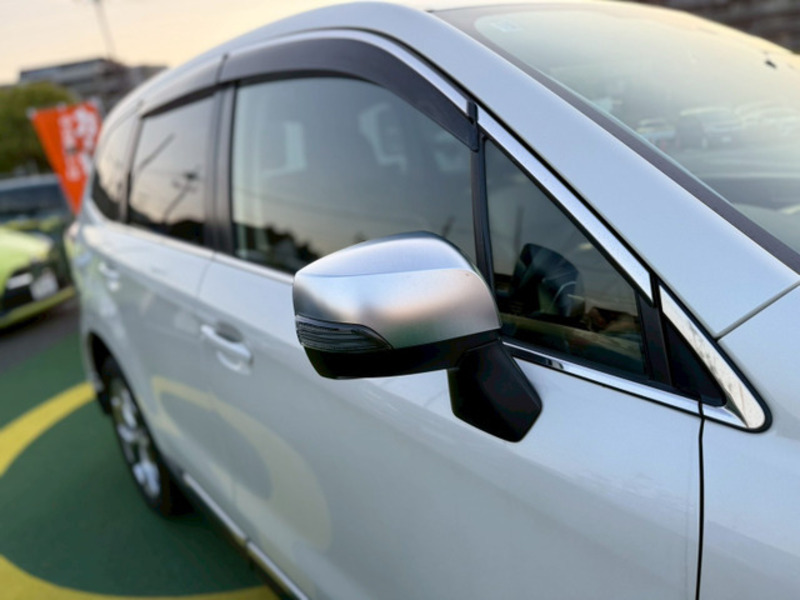 FORESTER-6