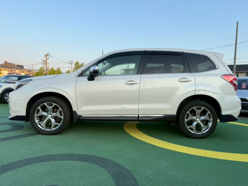 FORESTER-13