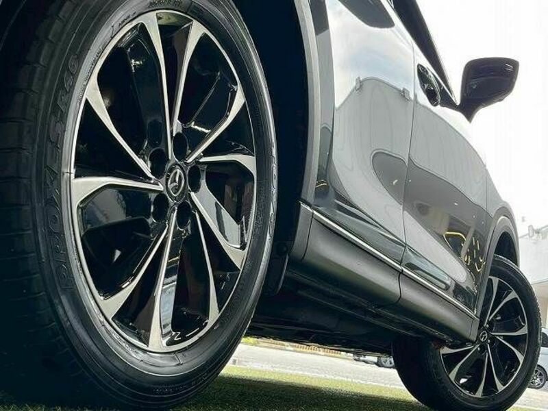 CX-5-18