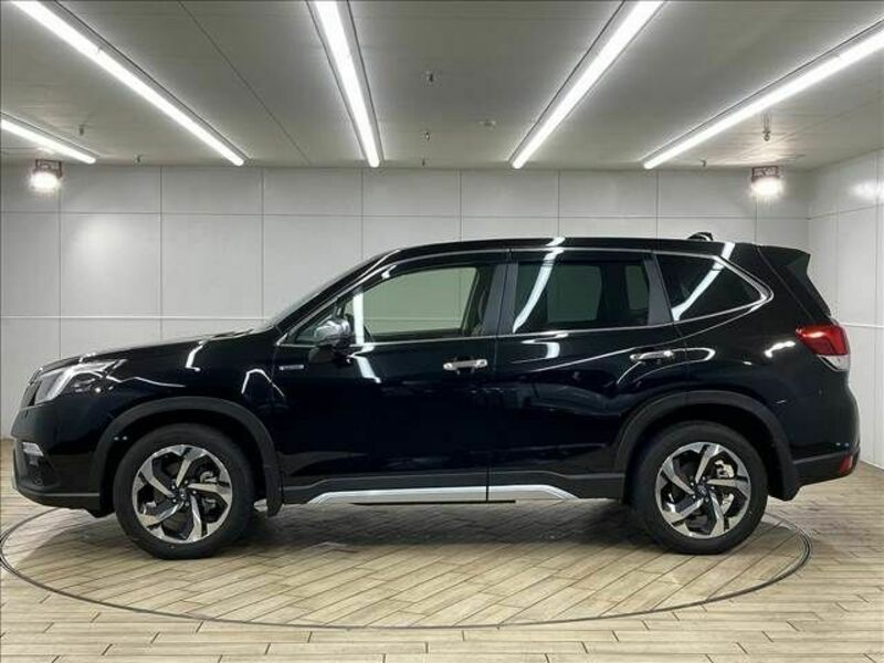 FORESTER-15
