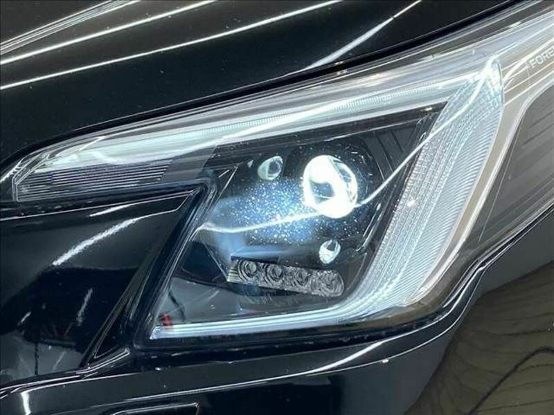 FORESTER-19