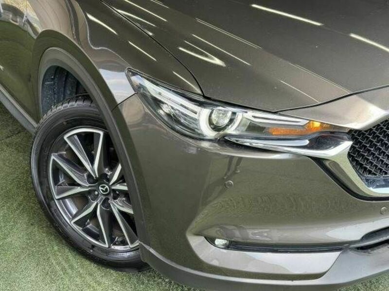 CX-5-19