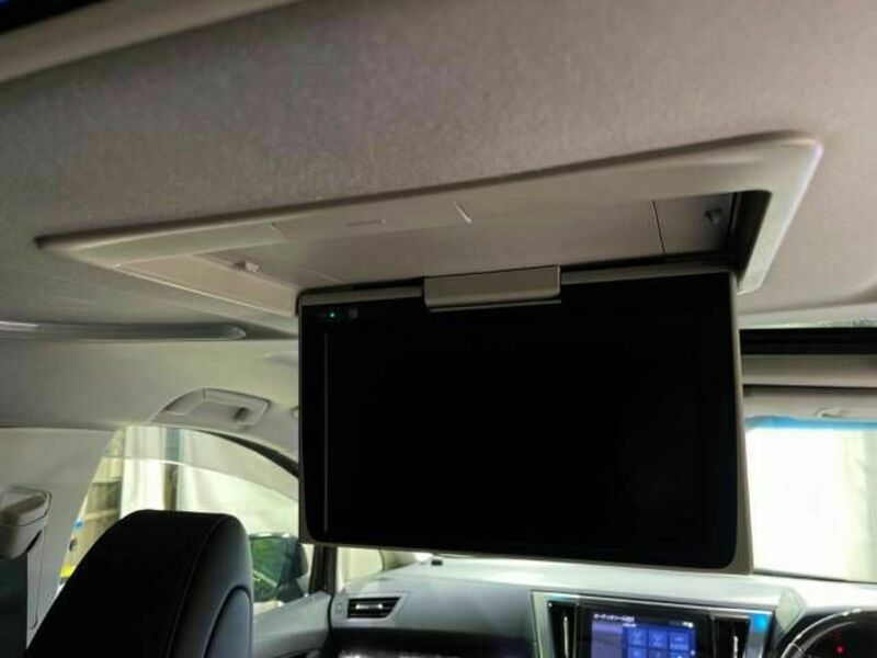 ALPHARD-3
