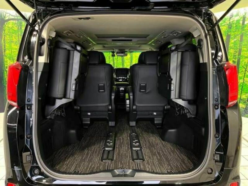 ALPHARD-10