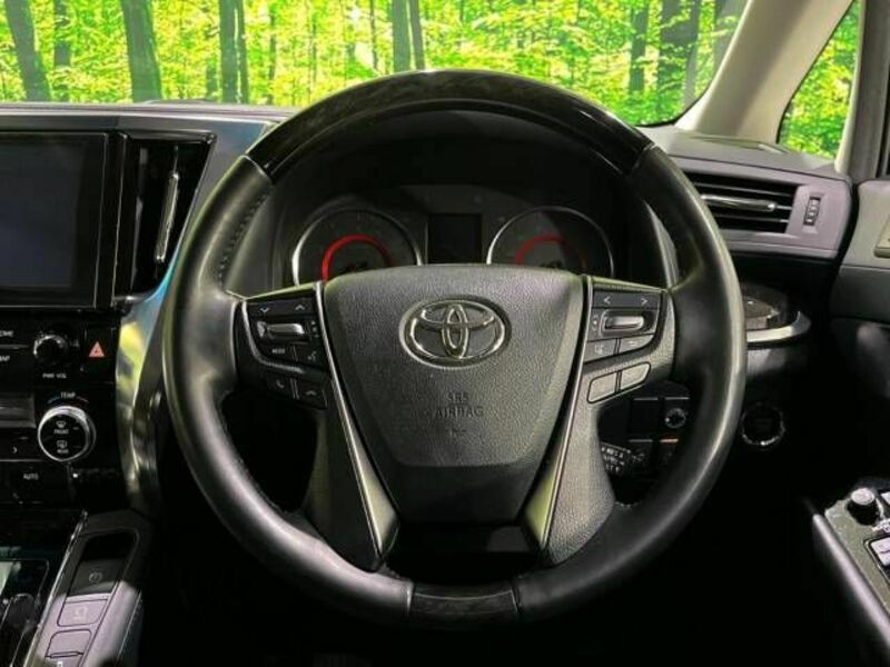 ALPHARD-11