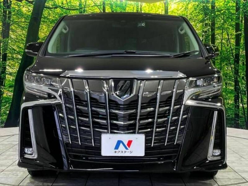 ALPHARD-14