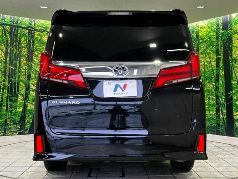 ALPHARD-15