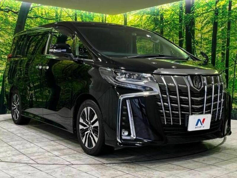 ALPHARD-16