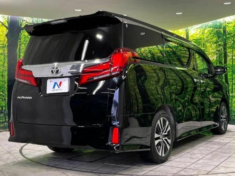 ALPHARD-17