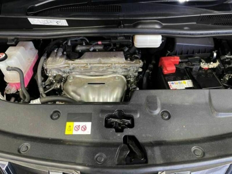 ALPHARD-18