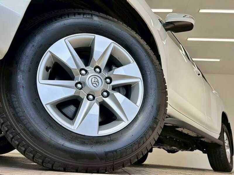 LAND CRUISER PRADO-18