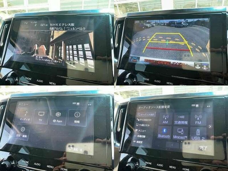 ALPHARD-6
