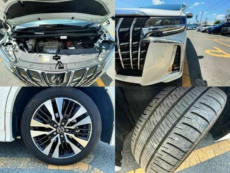 ALPHARD-8