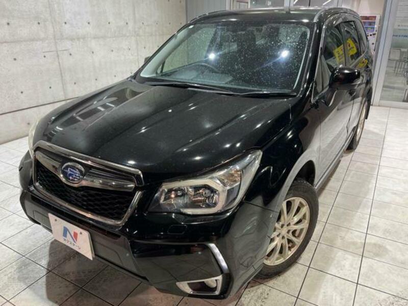 FORESTER-15