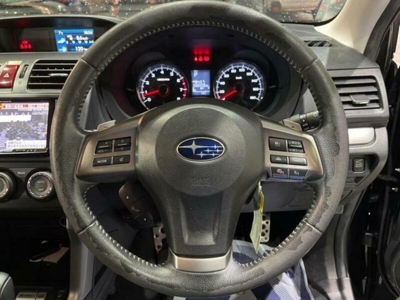 FORESTER-9