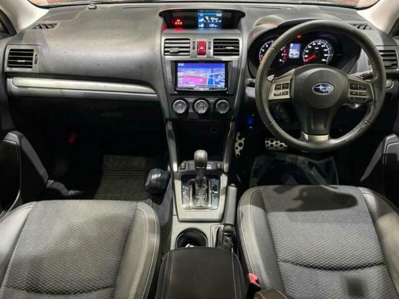 FORESTER-1