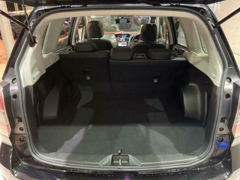 FORESTER-10