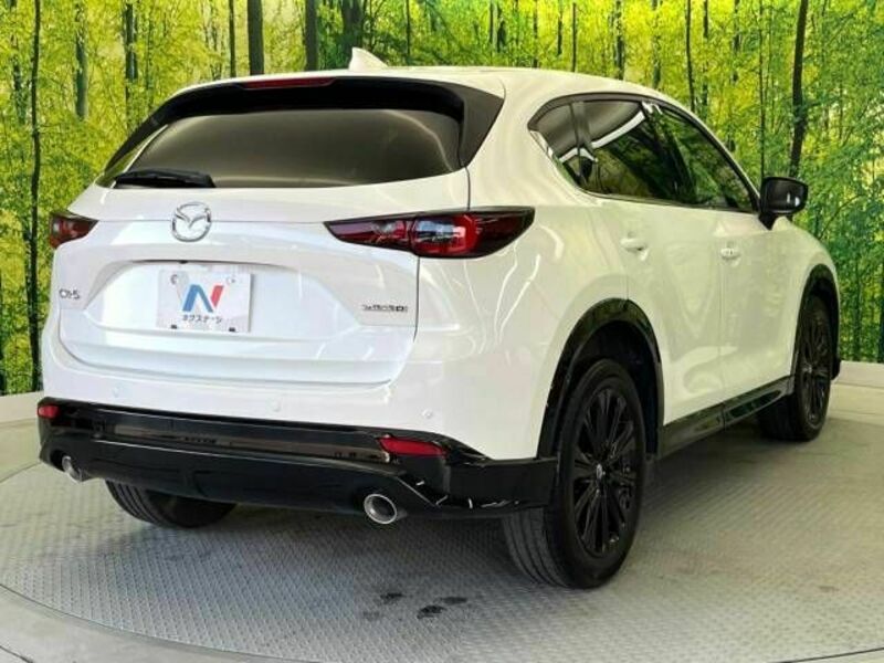 CX-5-17