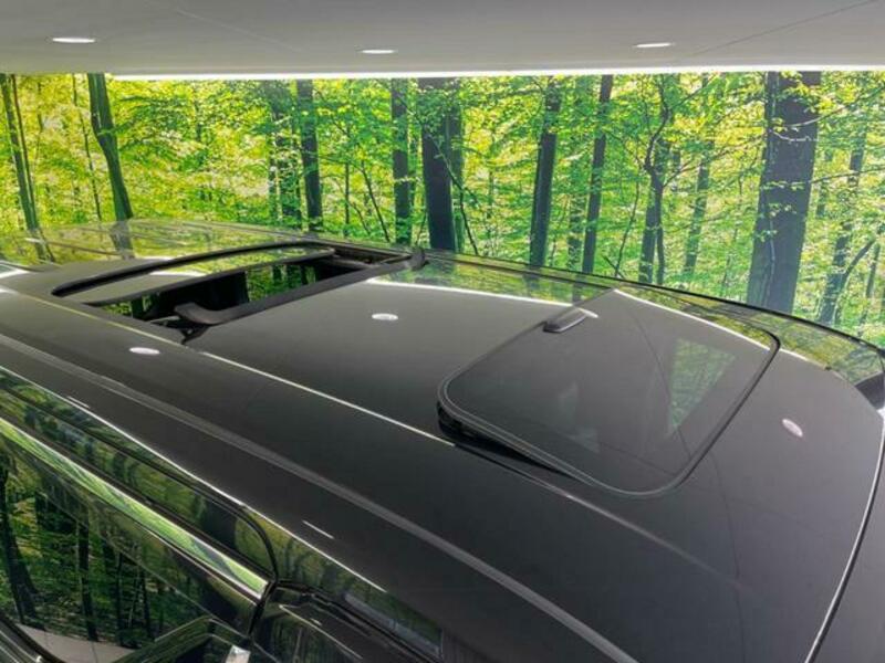ALPHARD-2