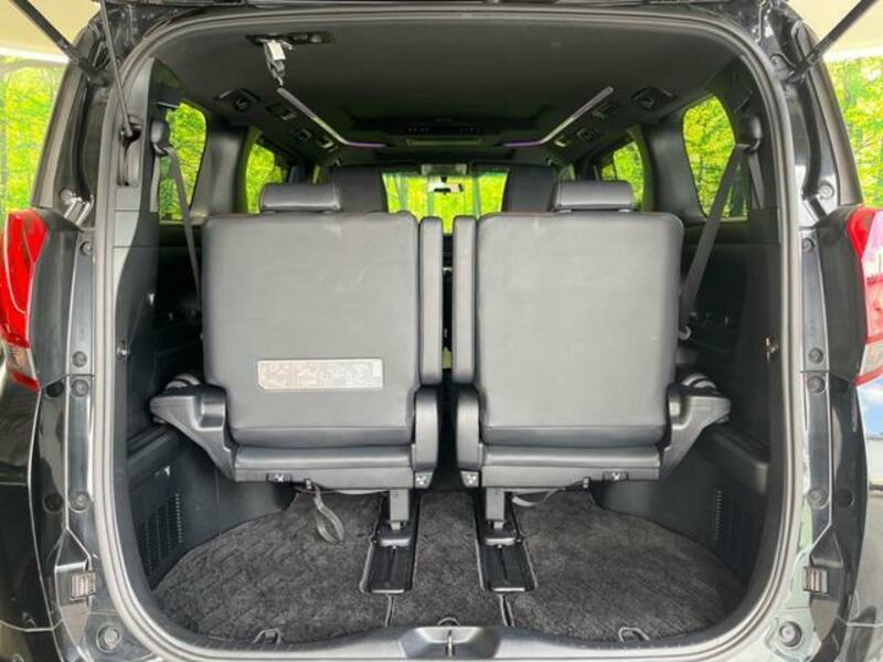 ALPHARD-10