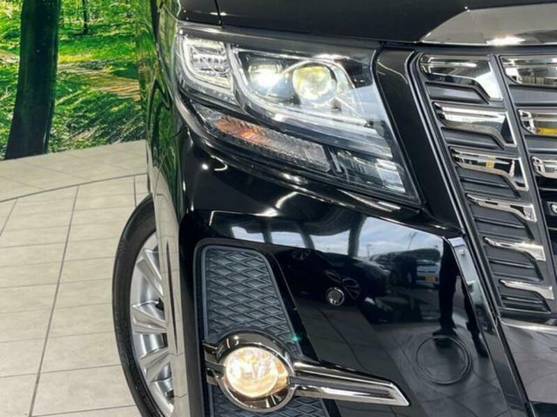 ALPHARD-12