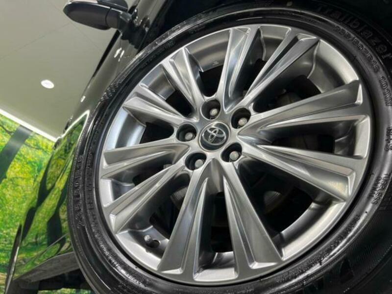 ALPHARD-13