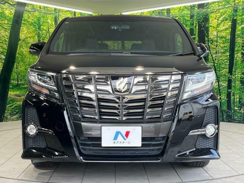 ALPHARD-14