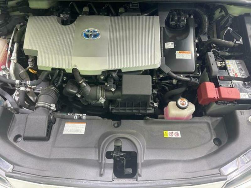 PRIUS-16