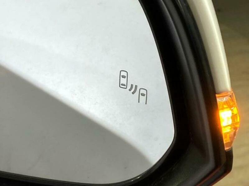 ALPHARD-7