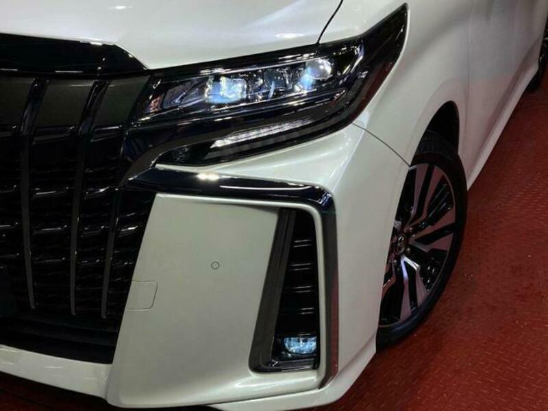 ALPHARD-13