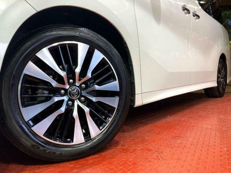ALPHARD-14