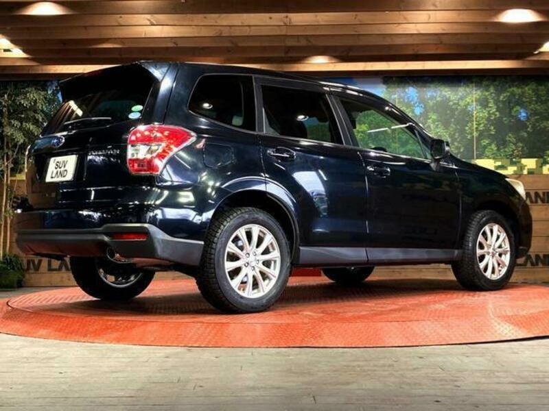 FORESTER-17