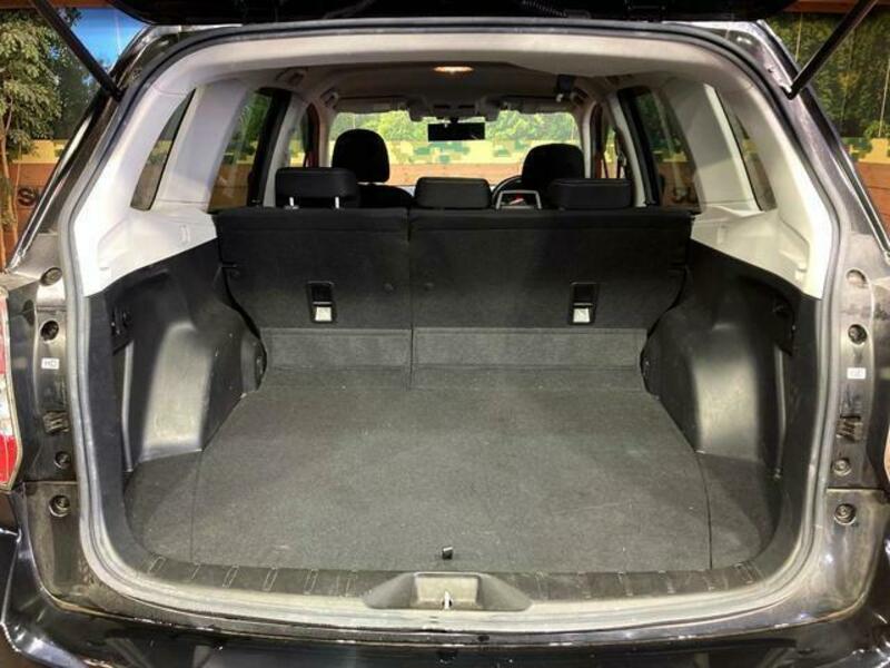 FORESTER-10