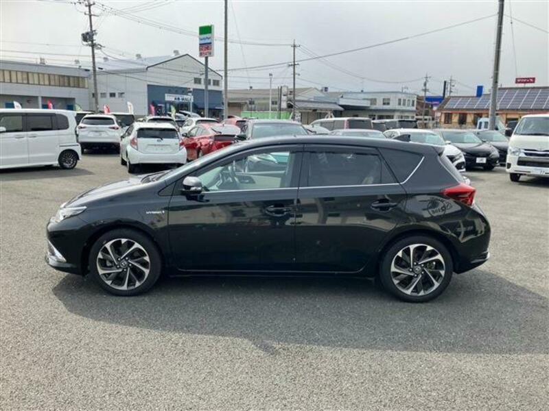 AURIS-6